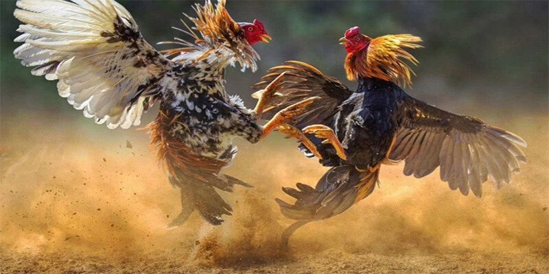 bi-kip-nam-chac-phan-thang-khi-tham-gia-game-online